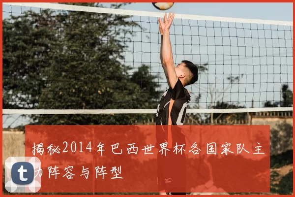 揭秘2014年巴西世界杯各国家队主力阵容与阵型