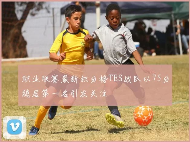 职业联赛最新积分榜TES战队以75分稳居第一名引发关注