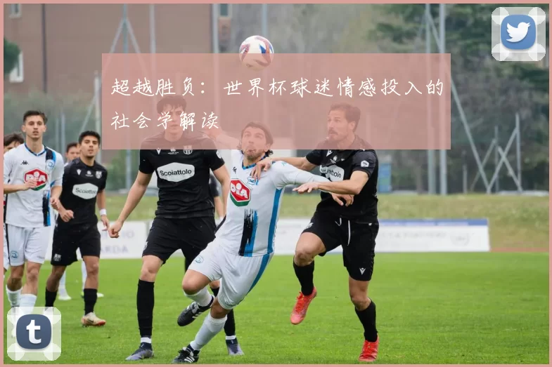 超越胜负:世界杯球迷情感投入的社会学解读