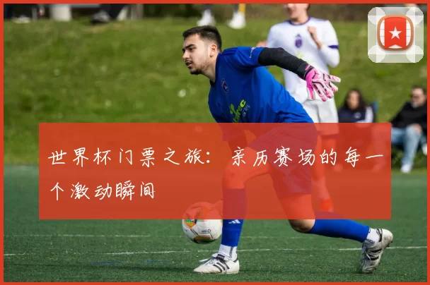 世界杯门票之旅：亲历赛场的每一个激动瞬间