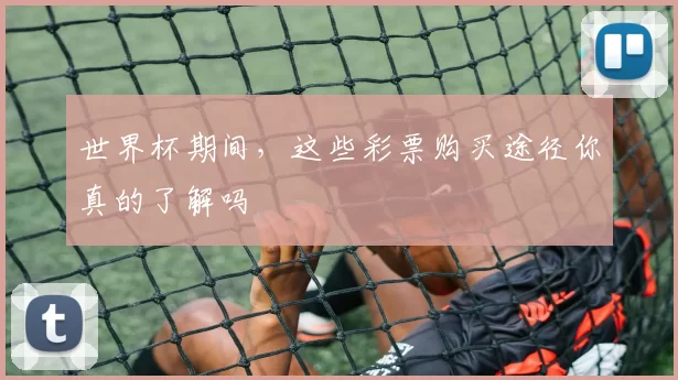 世界杯期间,这些彩票购买途径你真的了解吗