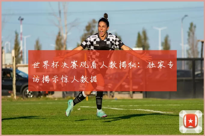 世界杯决赛观看人数揭秘:独家专访揭示惊人数据