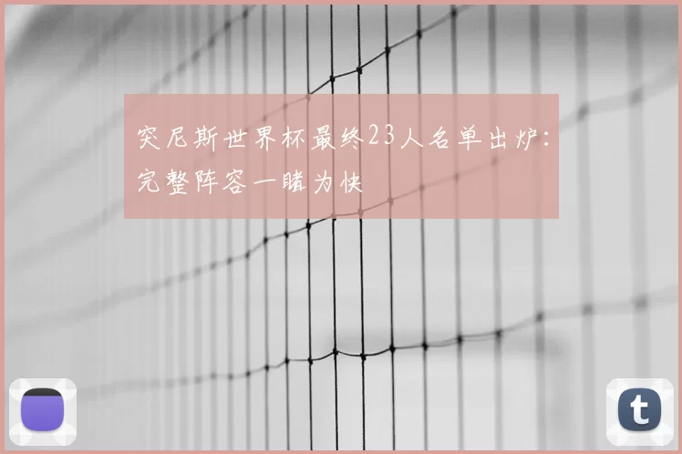 突尼斯世界杯最终23人名单出炉:完整阵容一睹为快