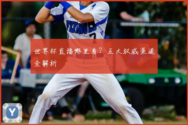 世界杯直播哪里看?五大权威渠道全解析