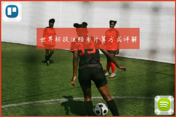 世界杯投注赔率计算方式详解