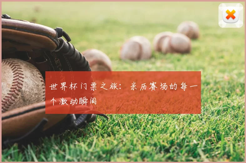 世界杯门票之旅:亲历赛场的每一个激动瞬间