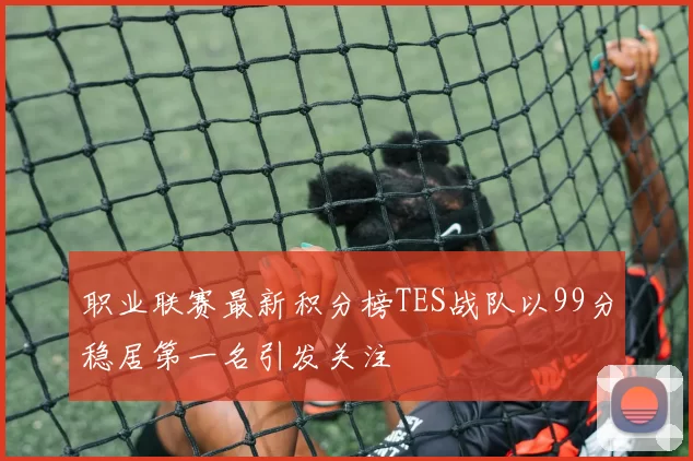 职业联赛最新积分榜TES战队以99分稳居第一名引发关注