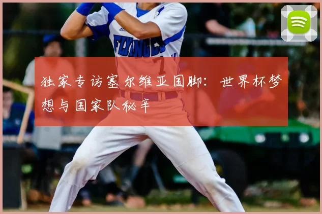 独家专访塞尔维亚国脚:世界杯梦想与国家队秘辛