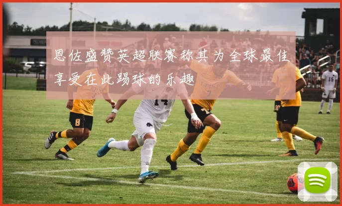 恩佐盛赞英超联赛称其为全球最佳享受在此踢球的乐趣