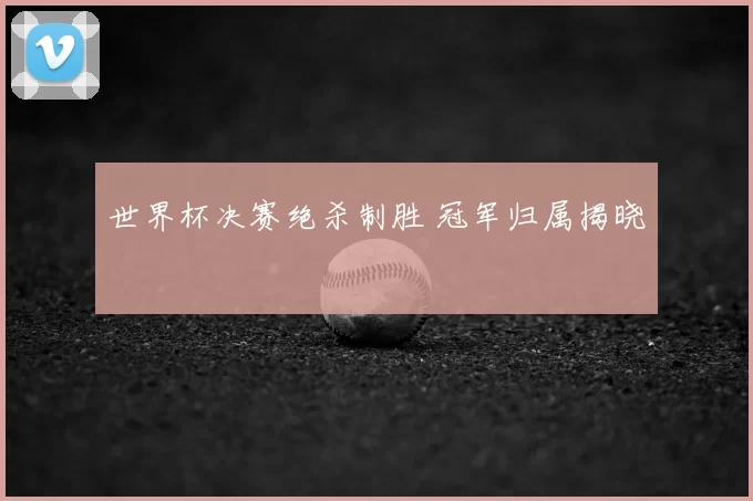 世界杯决赛绝杀制胜 冠军归属揭晓