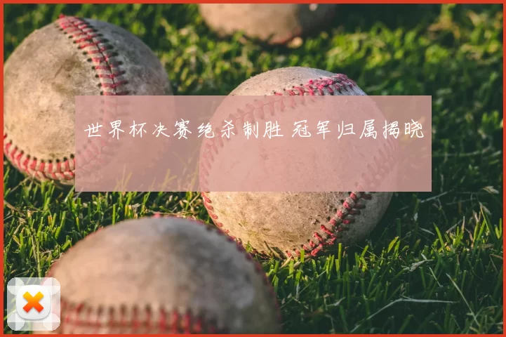 世界杯决赛绝杀制胜 冠军归属揭晓