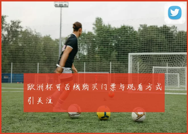 欧洲杯可否线购买门票与观看方式引关注